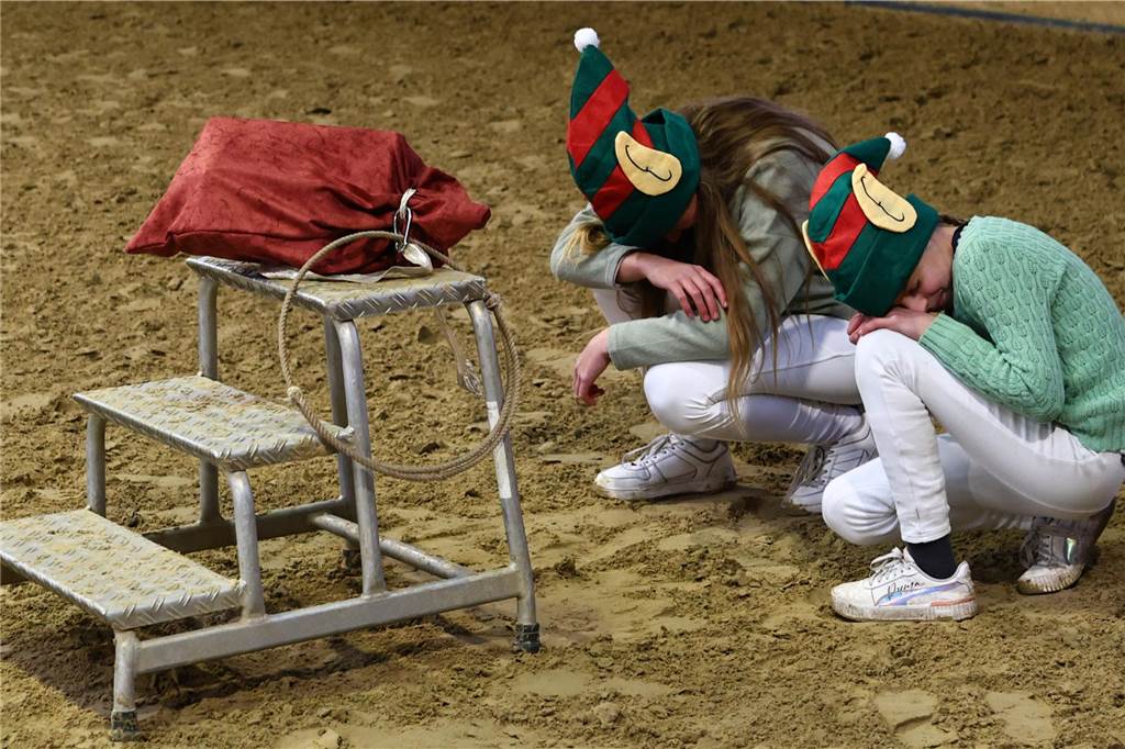 Im Schlitten und mit einem Engel kam der Nikolaus in die Reithalle. Die Vereinsjugend unterhielt mit einem Reitprogramm, es gab Weihnachtsgedichte und es wurde gesungen.