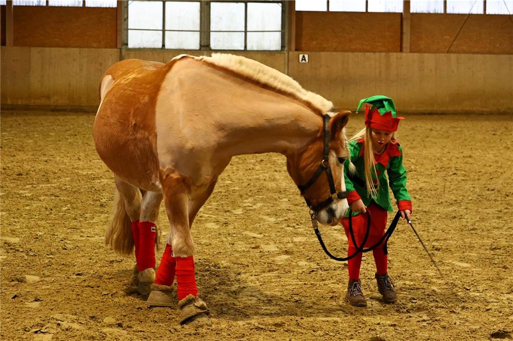 Im Schlitten und mit einem Engel kam der Nikolaus in die Reithalle. Die Vereinsjugend unterhielt mit einem Reitprogramm, es gab Weihnachtsgedichte und es wurde gesungen.