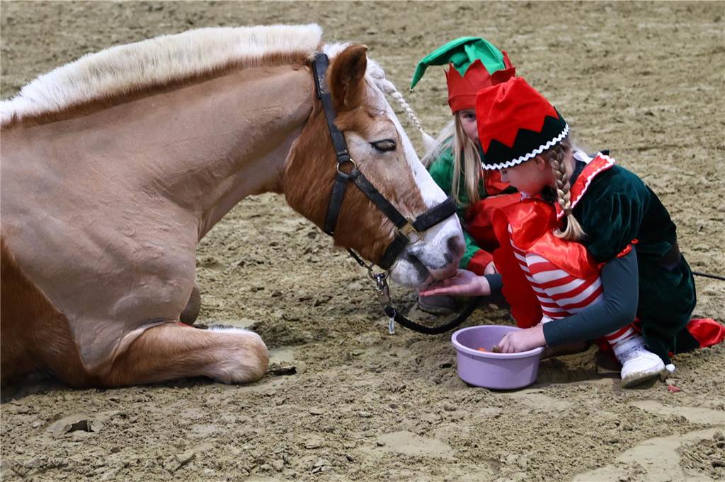 Im Schlitten und mit einem Engel kam der Nikolaus in die Reithalle. Die Vereinsjugend unterhielt mit einem Reitprogramm, es gab Weihnachtsgedichte und es wurde gesungen.