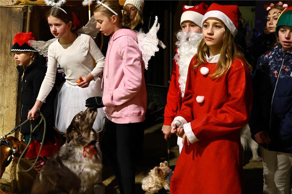 Im Schlitten und mit einem Engel kam der Nikolaus in die Reithalle. Die Vereinsjugend unterhielt mit einem Reitprogramm, es gab Weihnachtsgedichte und es wurde gesungen.