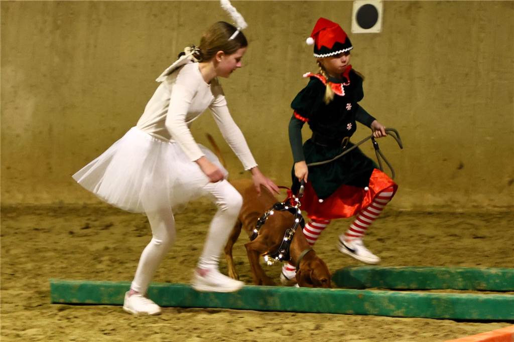 Im Schlitten und mit einem Engel kam der Nikolaus in die Reithalle. Die Vereinsjugend unterhielt mit einem Reitprogramm, es gab Weihnachtsgedichte und es wurde gesungen.
