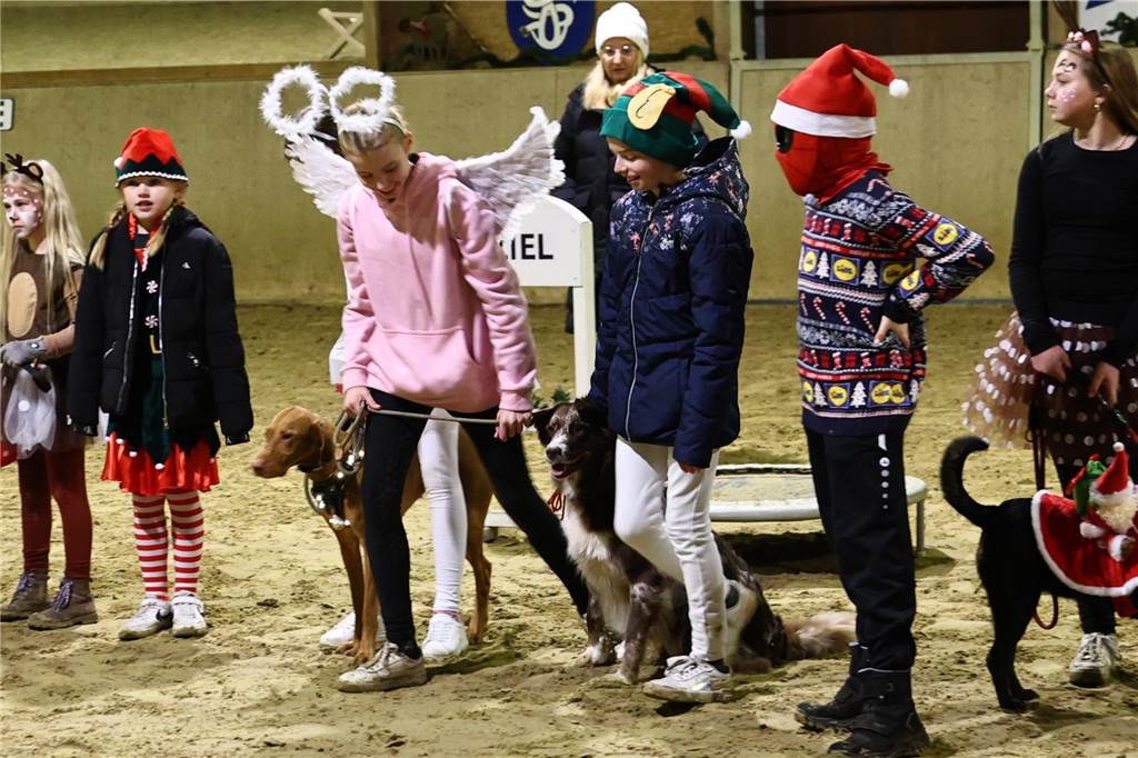Im Schlitten und mit einem Engel kam der Nikolaus in die Reithalle. Die Vereinsjugend unterhielt mit einem Reitprogramm, es gab Weihnachtsgedichte und es wurde gesungen.