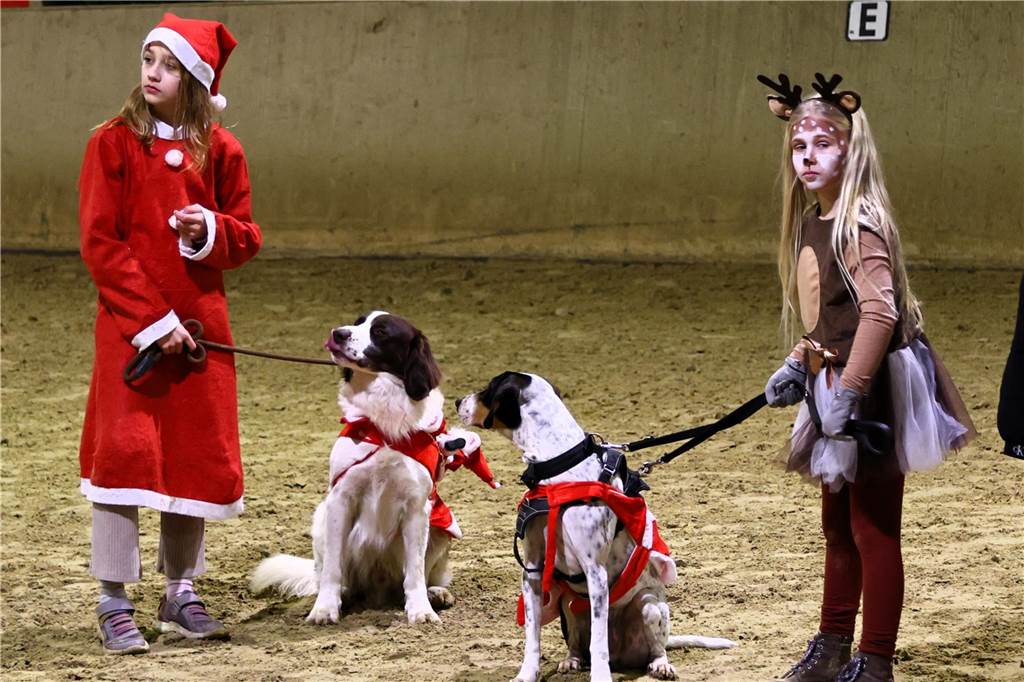 Im Schlitten und mit einem Engel kam der Nikolaus in die Reithalle. Die Vereinsjugend unterhielt mit einem Reitprogramm, es gab Weihnachtsgedichte und es wurde gesungen.