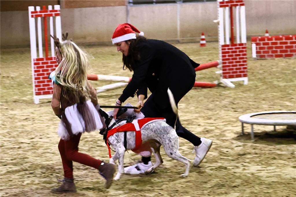 Im Schlitten und mit einem Engel kam der Nikolaus in die Reithalle. Die Vereinsjugend unterhielt mit einem Reitprogramm, es gab Weihnachtsgedichte und es wurde gesungen.