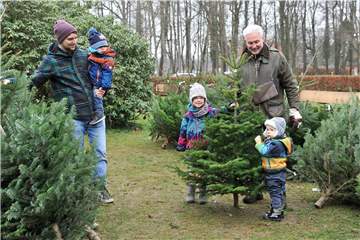 Im Schloss Sythen werden in diesem Jahr an zwei Tagen Weihnachtsbäume verkauft.