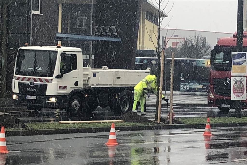 Pflanzaktion der Stadt: Autos stauen sich auf Kurt-Schumacher-Straße Im Schneegestöber setzten WBL-Mitarbeiter die neuen Bäume ein.