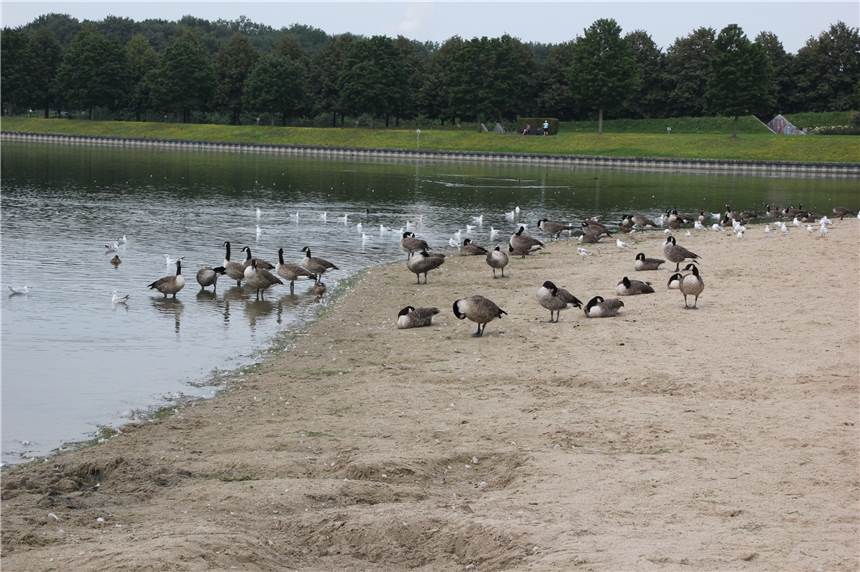 Diebstahl im Seepark Lünen: Plan eines jungen Paares ging nicht auf Im Seepark Horstmar wollte ein Paar aus Bergkamen eine Geldbörse stehlen.