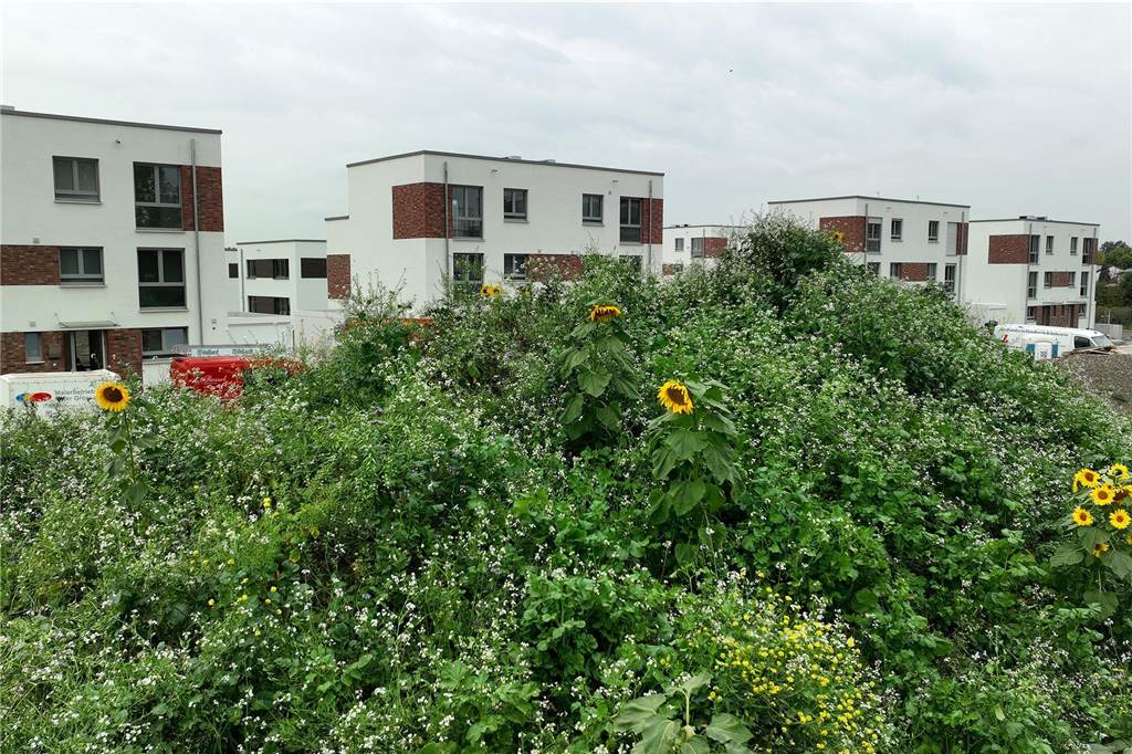 Mischung aus Stadt und Land: Mehr als 70 Häuser zum Verkauf in Selm Im Selmer Baugebiet Am Auenpark entstehen Eigenheime und Mehrfamilienhäuser mit Eigentumswohnungen.