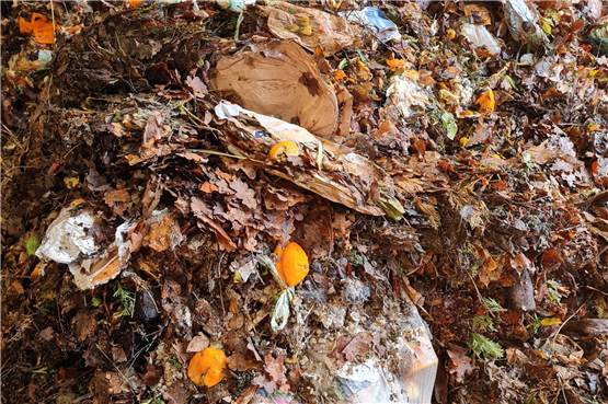 Zu viel Plastik im Selmer Bio-Müll - die Zeche zahlen alle Bürger