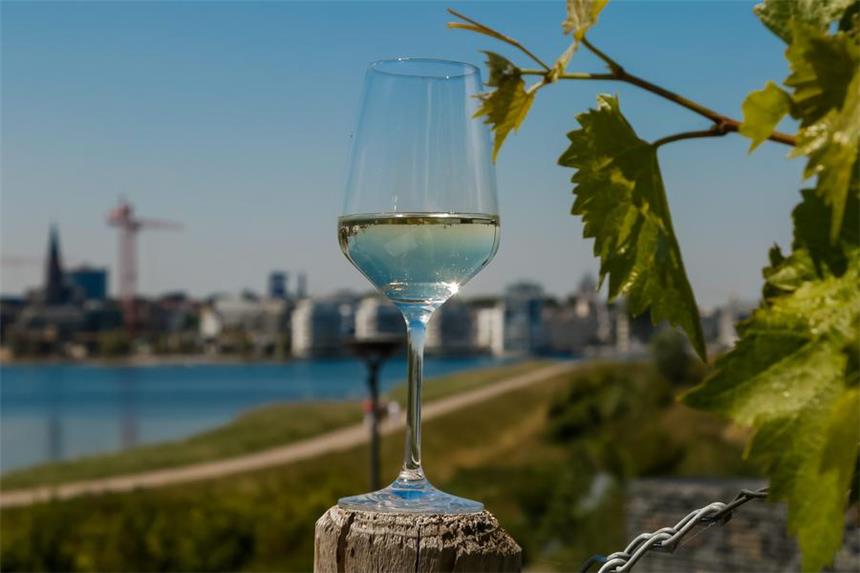 Abwasserverband füllt ersten Phoenix-See-Wein ab Im Sommer wurde der erste Phoenix-See-Wein vorgestellt.
