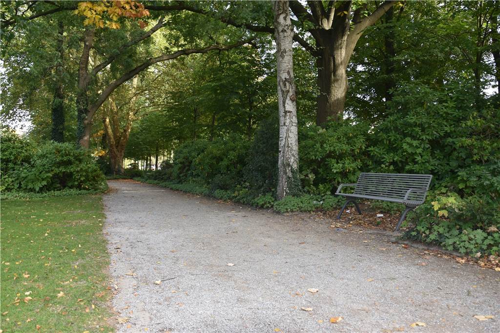 Altstadt soll an zwei Stellen sicherer werden - Zwei politische Anträge im Chancen-Check Im Stadtgarten gibt es laut Frauen-Union einen Angstraum an dieser Allee.