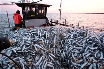 Im Streit über die Fischerei mit Schlepp- und Stellnetzen in Meeresschutzgebieten der deutschen Nord- und Ostsee fällt der Europäische Gerichtshof ein Grundsatzurteil. Foto: Christian Charisius
