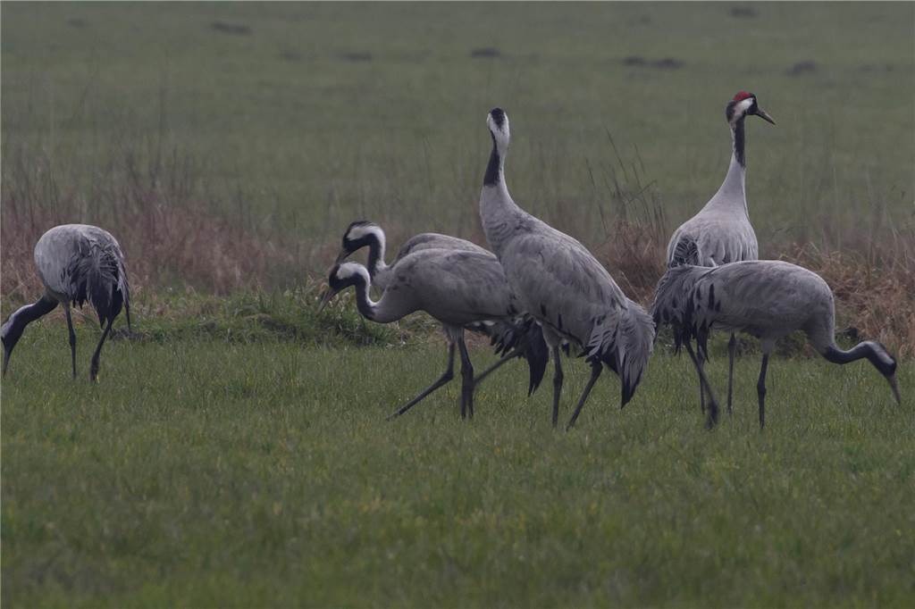 Naturschutz in Haltern