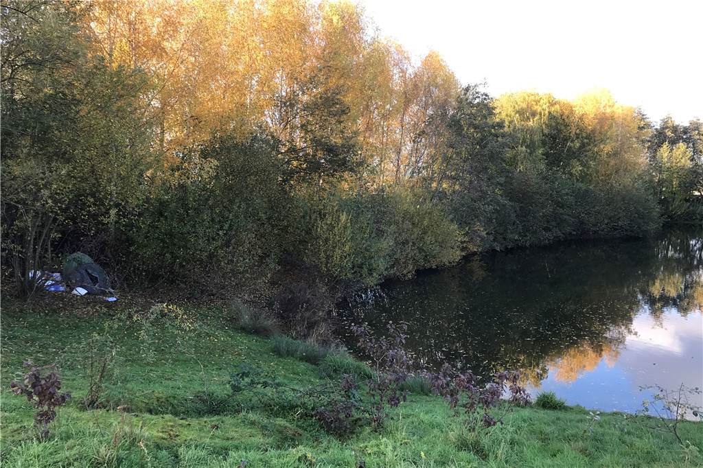 Wildcamper im Erinpark: Polizei stellt Spritze, Angel und Axt sicher Im Unterholz am Rande des östlichen Erin-Teichs hatte es sich der Camper gemütlich gemacht.