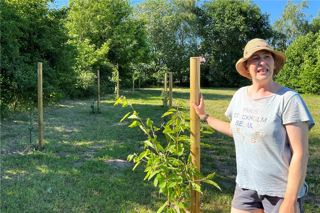 Nach dem Vorbild der Oma: Gemüse und Obst auf dem Markt verkaufen Anja Herkes-Dillhage in ihrem Garten.