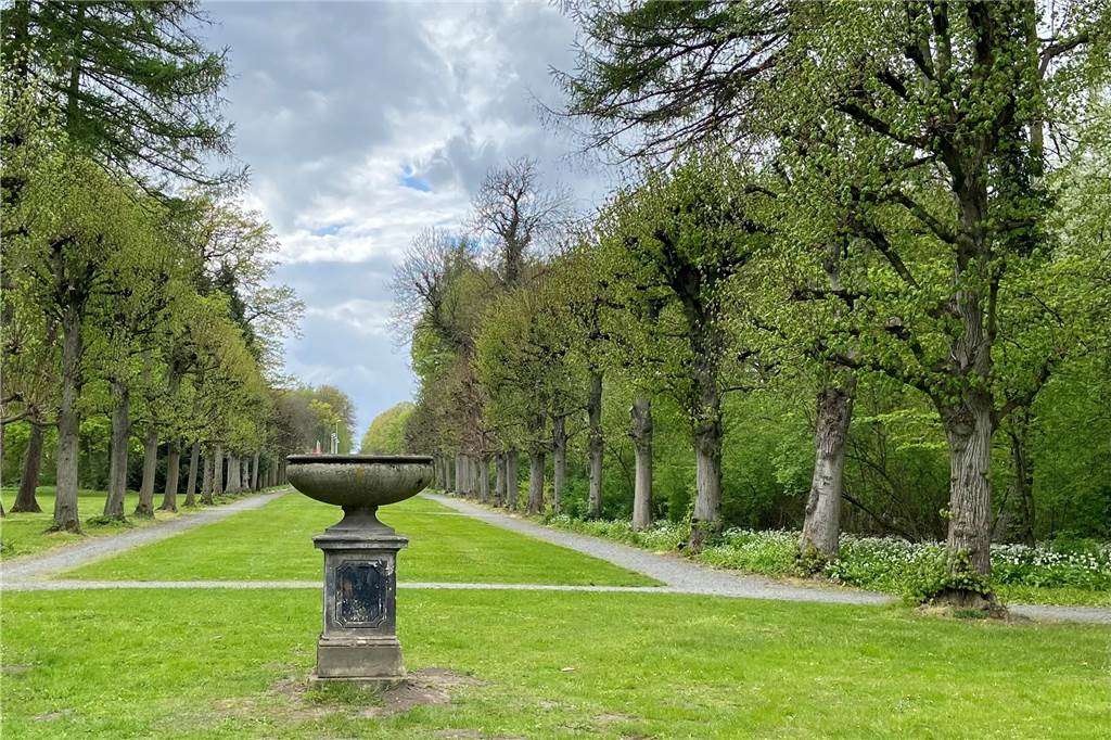 Fürstlich flanieren am Schloss Bückeburg in Niedersachsen Im weitläufigen Park stehen viele alte Bäume, die mit ihrem Wuchs fast selbst Kunstwerke sind.