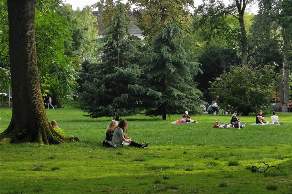 Cannabis-Legalisierung und Sperrzonen: Wo Kiffen verboten bleiben soll Menschen sitzen auf einer Wiese im Dortmunder Westpark.