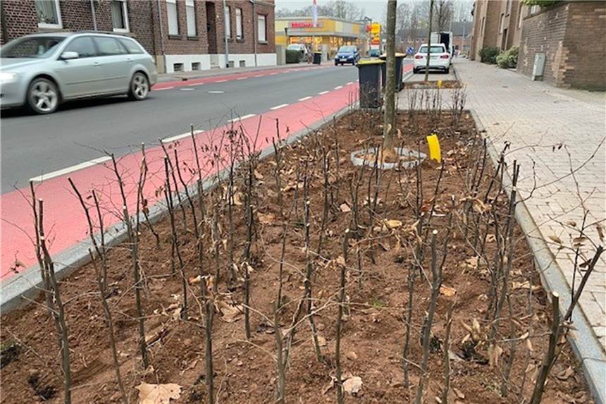 Verkehrswende kommt im Kreis nicht voran - Zahl der Autos steigt rasant Im Zuge des Umbaus der Bilholtstraße hat die Stadt Olfen auch neue Radspuren angelegt.