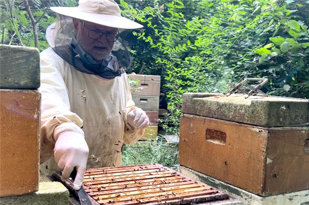 Imker Egon Unterberg in Gahlen gibt Einblicke in das Reich der Bienen.
