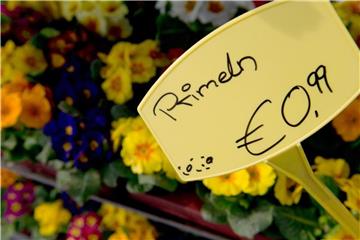 Im März wurden deutlich weniger Blumen verkauft als im Februar. Grund dafür sind die niedrigen Temperaturen. Foto: Marc Tirl/Archiv