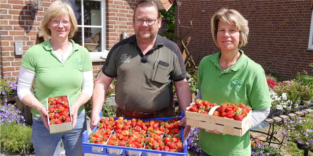 Erdbeer-Ernte auf dem Hof Vortmann - pur oder auf Kuchen ein Genuss Immer frisch: Die Erdbeeren für den Verkauf im Hofladen werden am selben Tag gepflückt. Im Bild: (v. li.) Dorothee Vortmann, Andreas Vortmann und Alexandra Rakowski