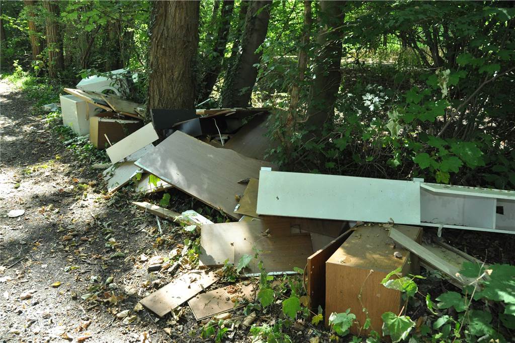 Wilde Müllkippen: WBL lehnen kostenfreien Wertstoffhof ab Müll am Waldrand