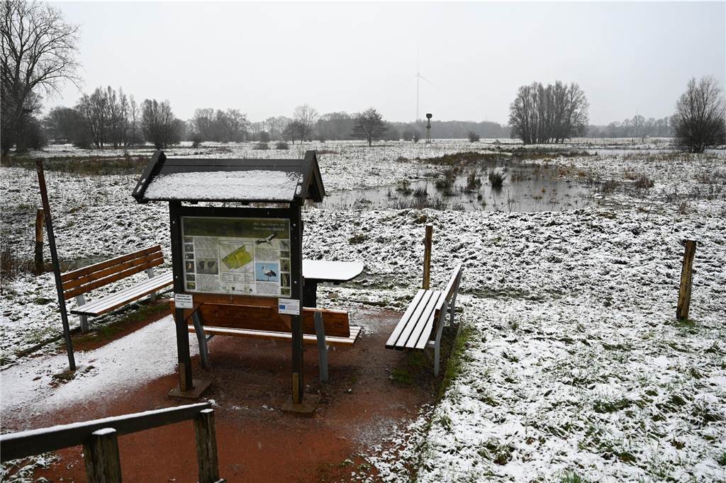 Schneefall und Temperaturen um den Gefrierpunkt: Das Wetter-Update für Dorsten Impressionen aus dem verschneiten Dorsten