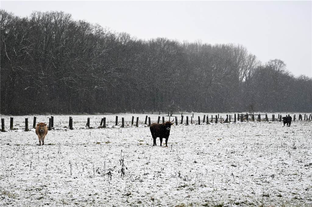 Impressionen aus dem verschneiten Dorsten