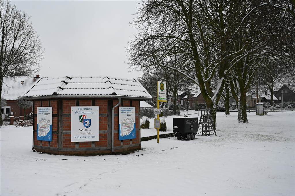 Impressionen aus Wulfen zum Wintereinbruch.