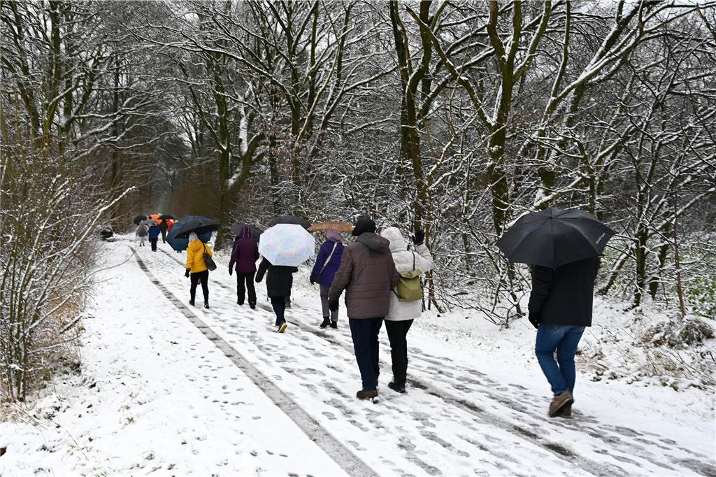 Impressionen aus Wulfen zum Wintereinbruch.