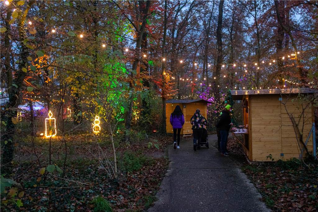 Impressionen vom Auftakt des Lichterfestes im Wenninghof 2023. 