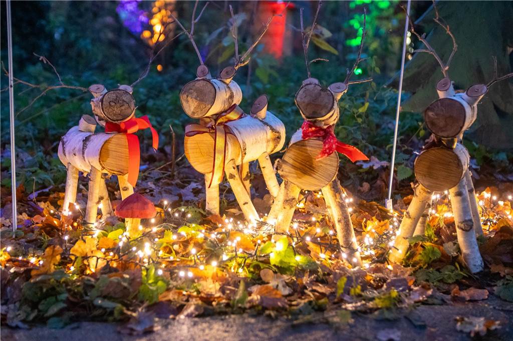 Impressionen vom Auftakt des Lichterfestes im Wenninghof 2023. 