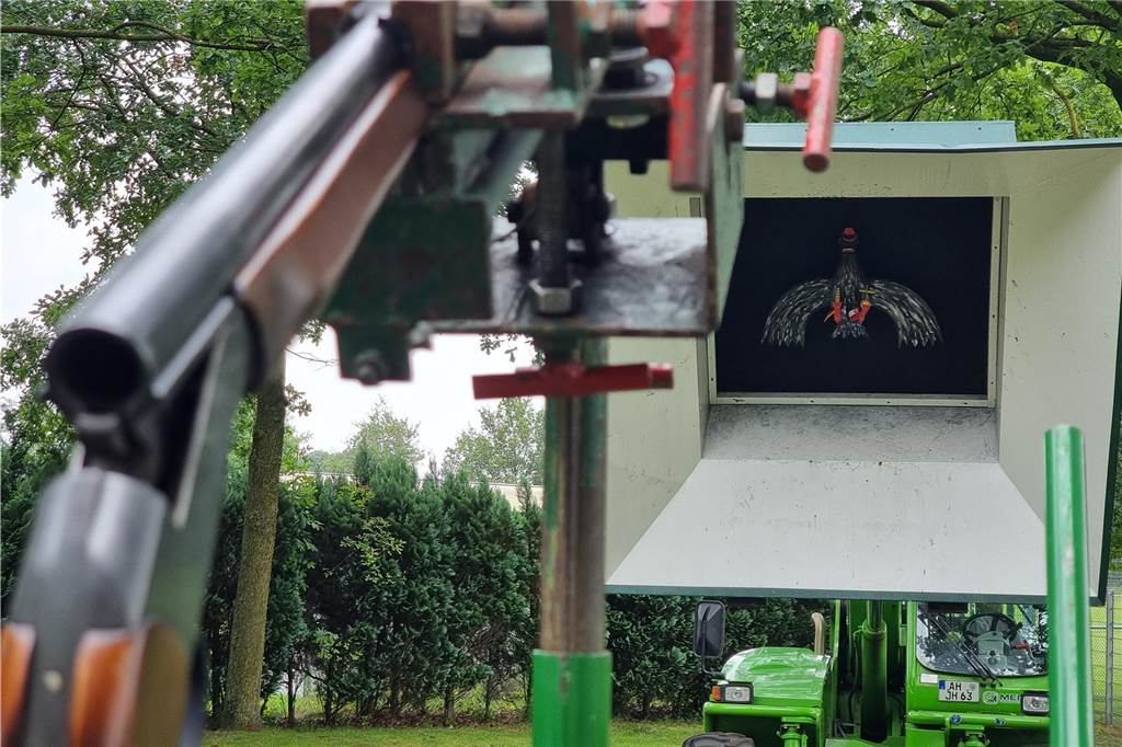 Impressionen vom Vogelschießen der Nienborger Bürgerschützen 2024. 