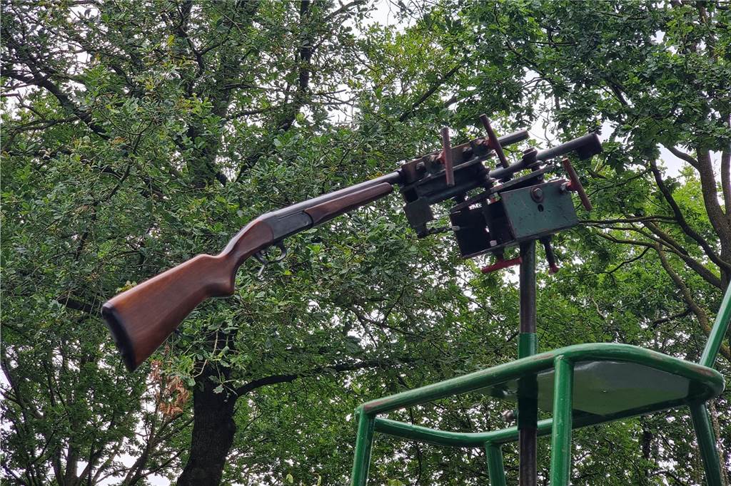 Impressionen vom Vogelschießen der Nienborger Bürgerschützen 2024. 