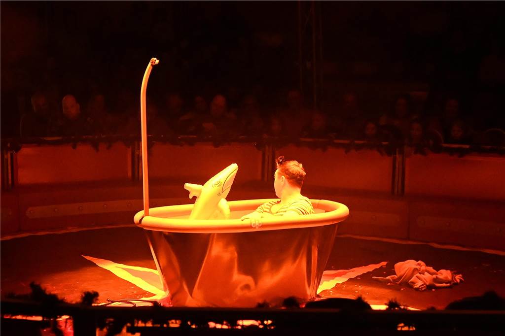 Impressionen von der Premiere des Dorstener Weihnachtscircus'