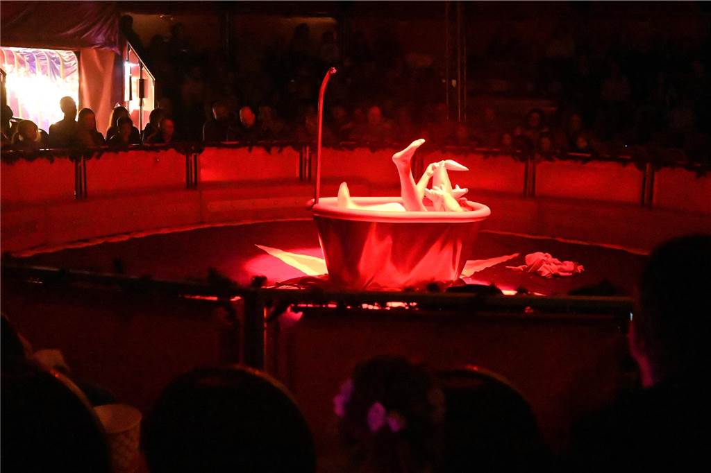 Impressionen von der Premiere des Dorstener Weihnachtscircus'