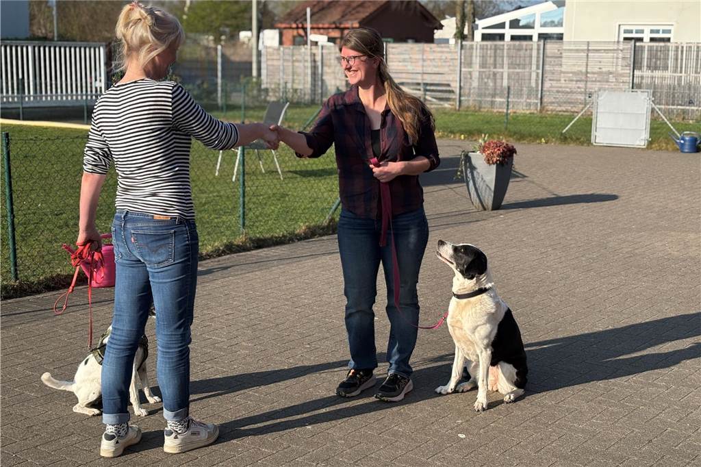 Ahauserin bietet freiwilligen Hundeführerschein an Begrüßung von Miriam Elsässer und Kerstin Kipschull, während beide Hunde daneben sitzen.