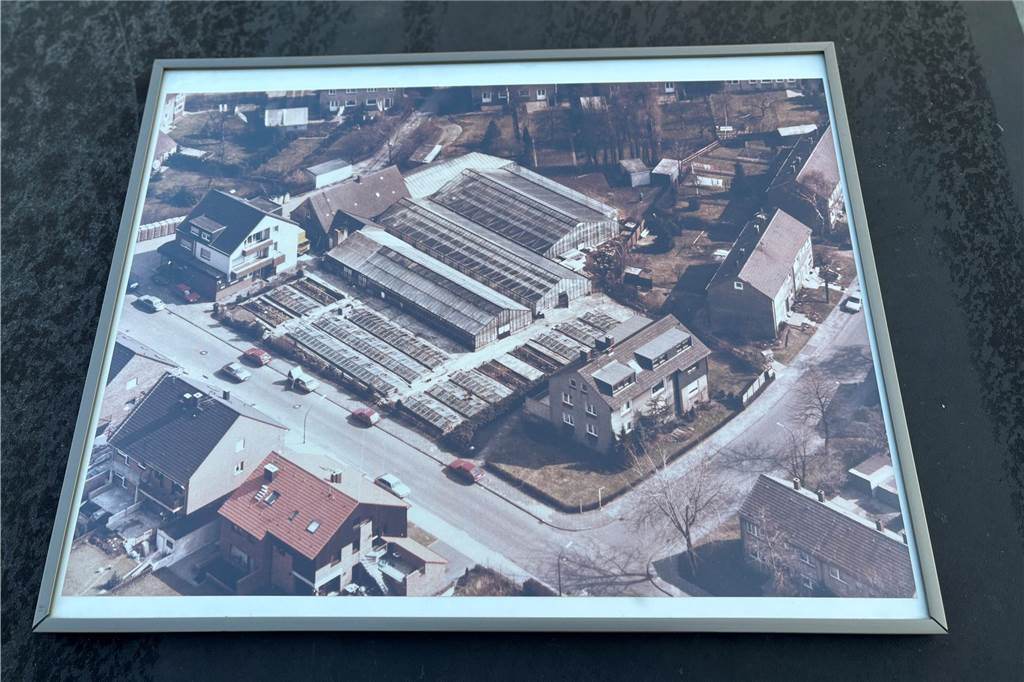 Ein Leben in der Gärtnerei Ein Luftbild. In den 1980er-Jahren standen große Gewächshäuser von Blumen Siewert in Ickern.