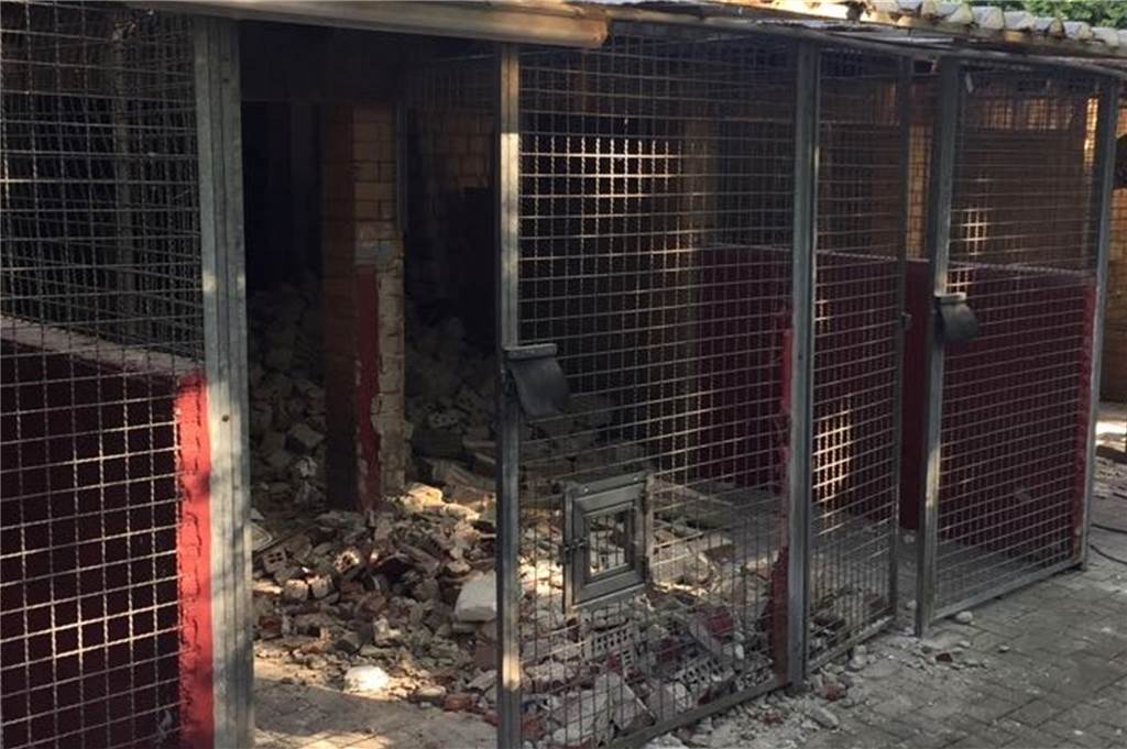 In den alten Hundezwingern hat der Abriss bereits begonnen.