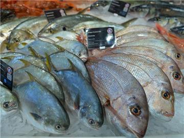 In den ersten zehn Monaten des Jahres haben die Verbraucher in Deutschland 3,1 Milliarden Euro für Fisch ausgegeben. Foto: Carmen Jaspersen