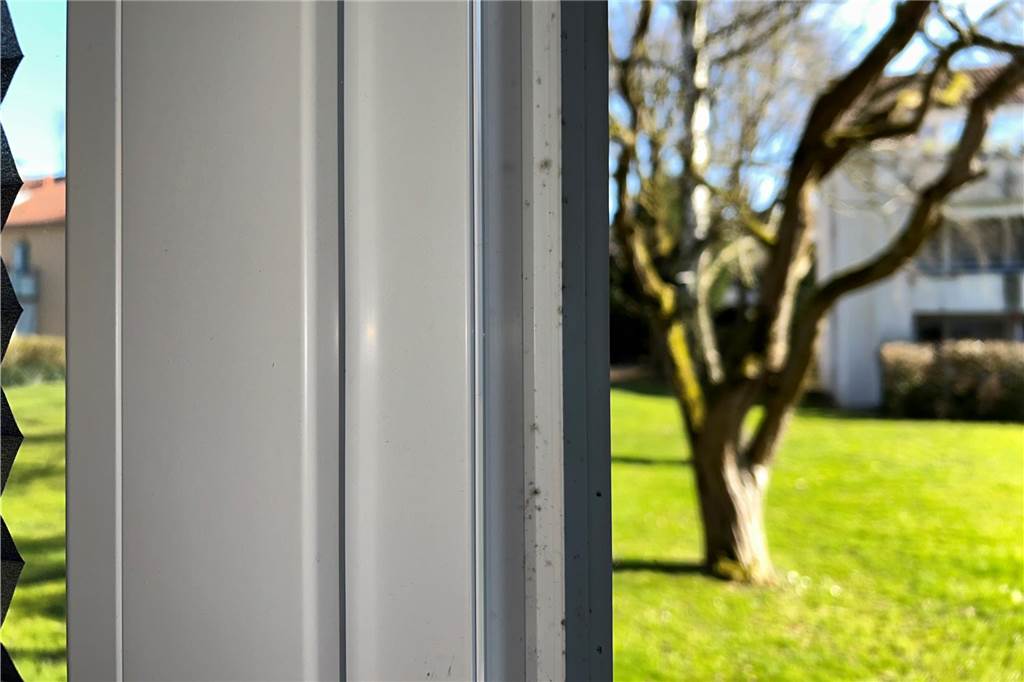 Dogewo-Mieterin (49) zweifelt an Schimmel-Gutachter Schimmelflecken an neuen Fensterrahmen an der Bayrischen Straße in Dortmund-Eving.