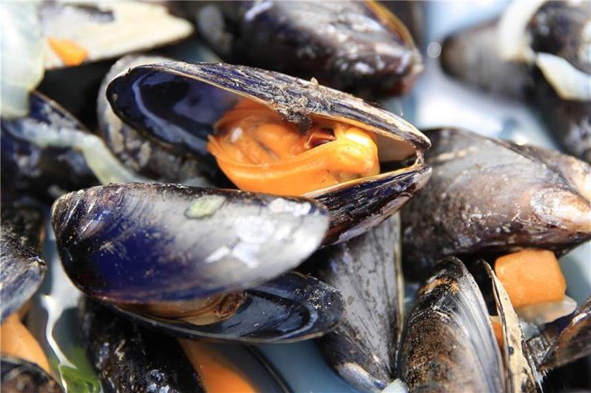 Muscheln nur in Monaten mit „R“ essen? In den Monaten mit einem „r“ im Namen haben Muscheln Saison. Foto: Christian Charisius