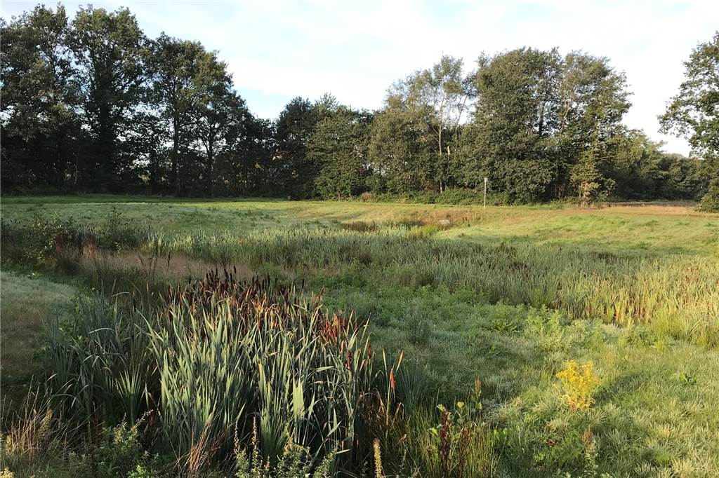 Warum Regenrückhaltebecken heute keine großen, stinkenden Schlammlöcher mehr sind In den neuen Regenrückhaltebecken steht nicht ständig Wasser, weil sie deutlich flacher sind als die der ersten Generation.