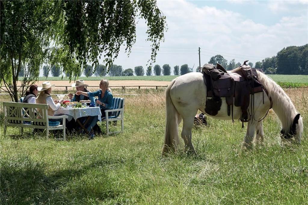 Auf dem Rücken der Pferde durchs Münsterland: Wanderritte für jedermann Reiter picknicken in der Natur, vorne im Bild grast ein Pferd.