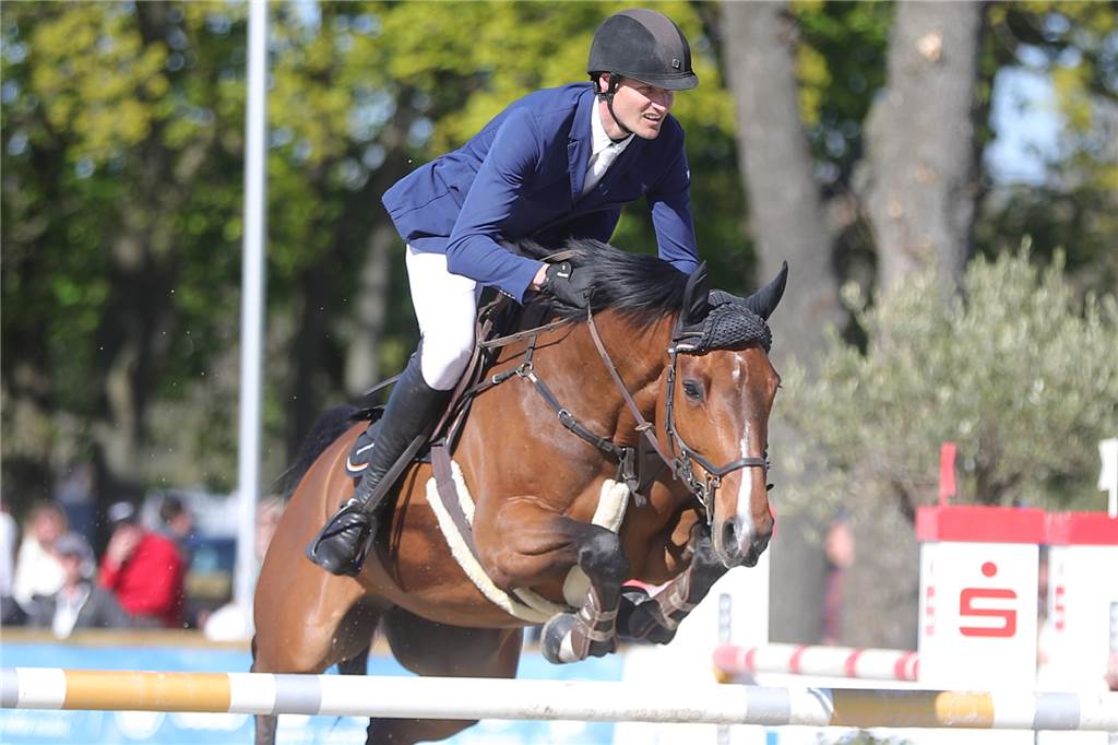 Westfälischer Meister im Springreiten: Stephan Naber triumphiert mit Cyber Zirkeline in Münster In den schwierigen Parcours blieben Stephan Naber und Cyber Zirkeline fehlerfrei und holten sich den Titel.