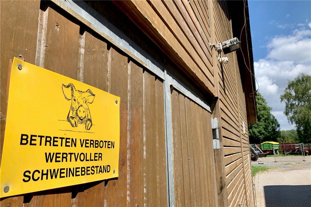Biohof in Dortmund: Keine Schweinereien mit dem Schweinefleisch In den Stall kommen keine Besucher.