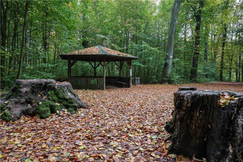 An einer Waldgabelung steht ein kleiner Pavillon aus Holz. In dem runden Pavillon befinden sich Sitzbänke.