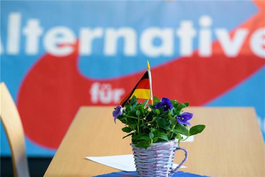 AfD und FDP steigen in der Wählergunst In der aktuellen Emnid-Erhebung kommt die AfD auf 13 Prozent. Foto: Oliver Dietze