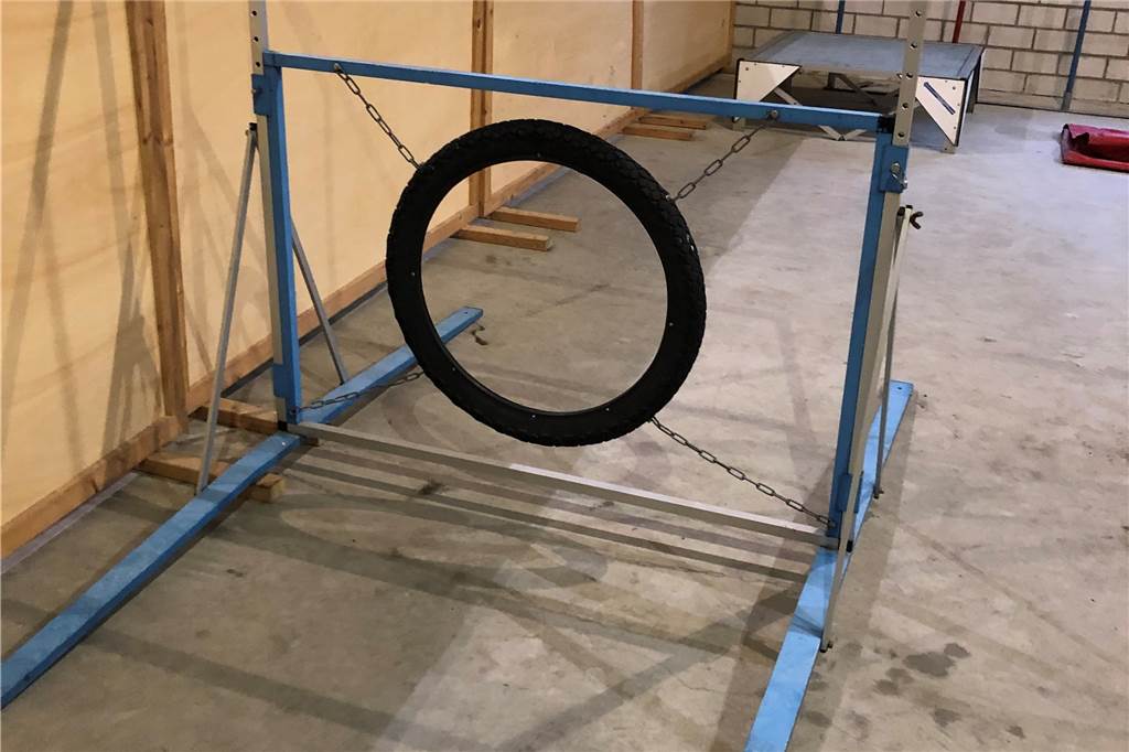 Ruth Räckers‘ Weg zur Hundetrainerin: Und dann kam Gordon In der großen Halle ist nicht nur ausreichend Platz fürs Training, hier können auch ganz verschiedene "Trainingsgeräte" genutzt werden.