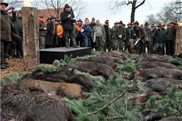 In der Haard werden die Wildschweine bejagt. Drückjagden sind unter bestimmten Regeln erlaubt, doch das Streckelegen (Foto) mit Schüsseltreiben muss wegen Corona ausfallen.